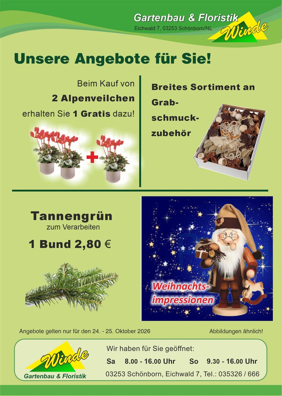Unsere Angebote am 24. und 25. Oktober 2026 – beim Kauf von 2 Alpenveilchen 1 gratis – Grabschmuckzubehör – Tannengrün 1 Bund 2,80 € – Weihnachtsimpressionen – Gartenbau & Floristik Winde, Schönborn